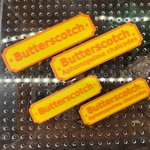 Custom 3D Printed Magnetic Pet Name Tag: Tarantula, Jumping Spider, Reptile, Invertebrate Enclosure