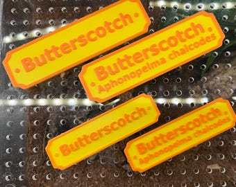 Custom 3D Printed Magnetic Pet Name Tag: Tarantula, Jumping Spider, Reptile, Invertebrate Enclosure