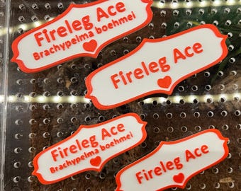 Custom 3D Printed Magnetic Pet Name Tag: Tarantula, Jumping Spider, Reptile, Invertebrate Enclosure Decor