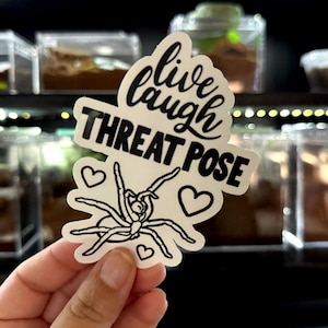 May include: A white sticker with the words "live laugh THREAT POSE" in black script and block letters. A black and white spider illustration is below the text, with three heart symbols. The sticker is held in front of terrariums.