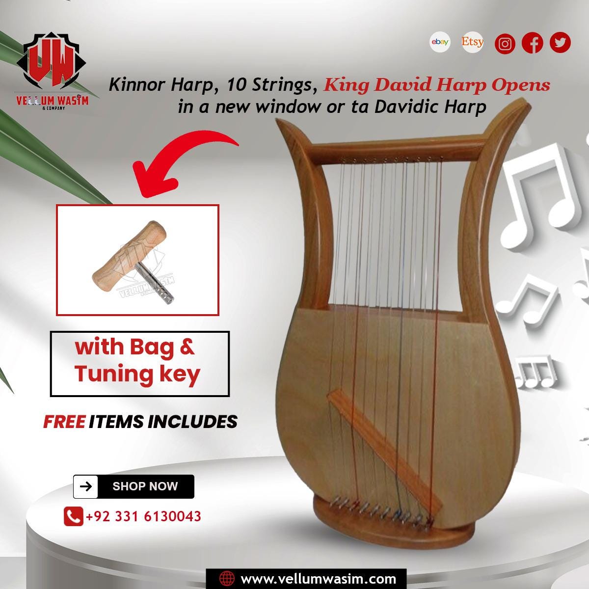 10 String Kinnor Harp: King David Lyre With Bag & Tuning Key - Etsy