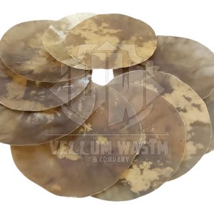 May include: A collection of irregularly shaped, circular, translucent, light brown pieces with darker brown mottled patterns. The pieces are arranged in a circular pattern. The logo "VELLUM WASTM & COMPANY" is visible.