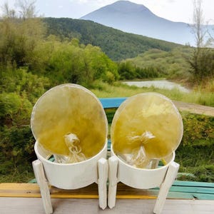 May include: Two round, pale yellow, dried fish bladders are displayed on a white wooden stand with three legs. The stand is on a wooden surface with a blue and green background.