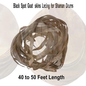 Peut inclure: Lacage en cuir brun pour tambours chamaniques, fabriqué à partir de peaux de chèvre tachetées de noir. Le laçage mesure environ 40 à 50 pieds de long.