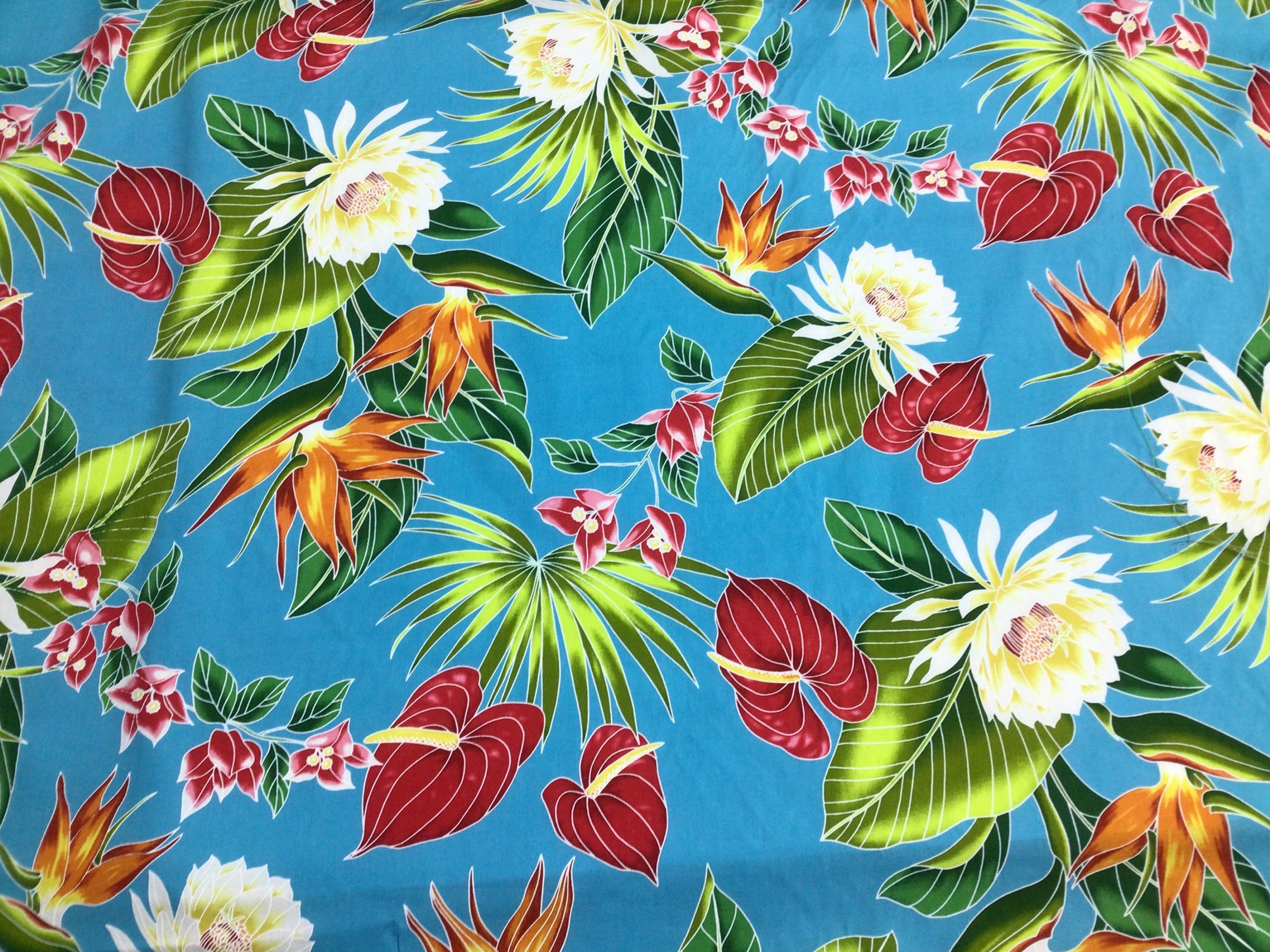 Remnant! 1 Yard & 29