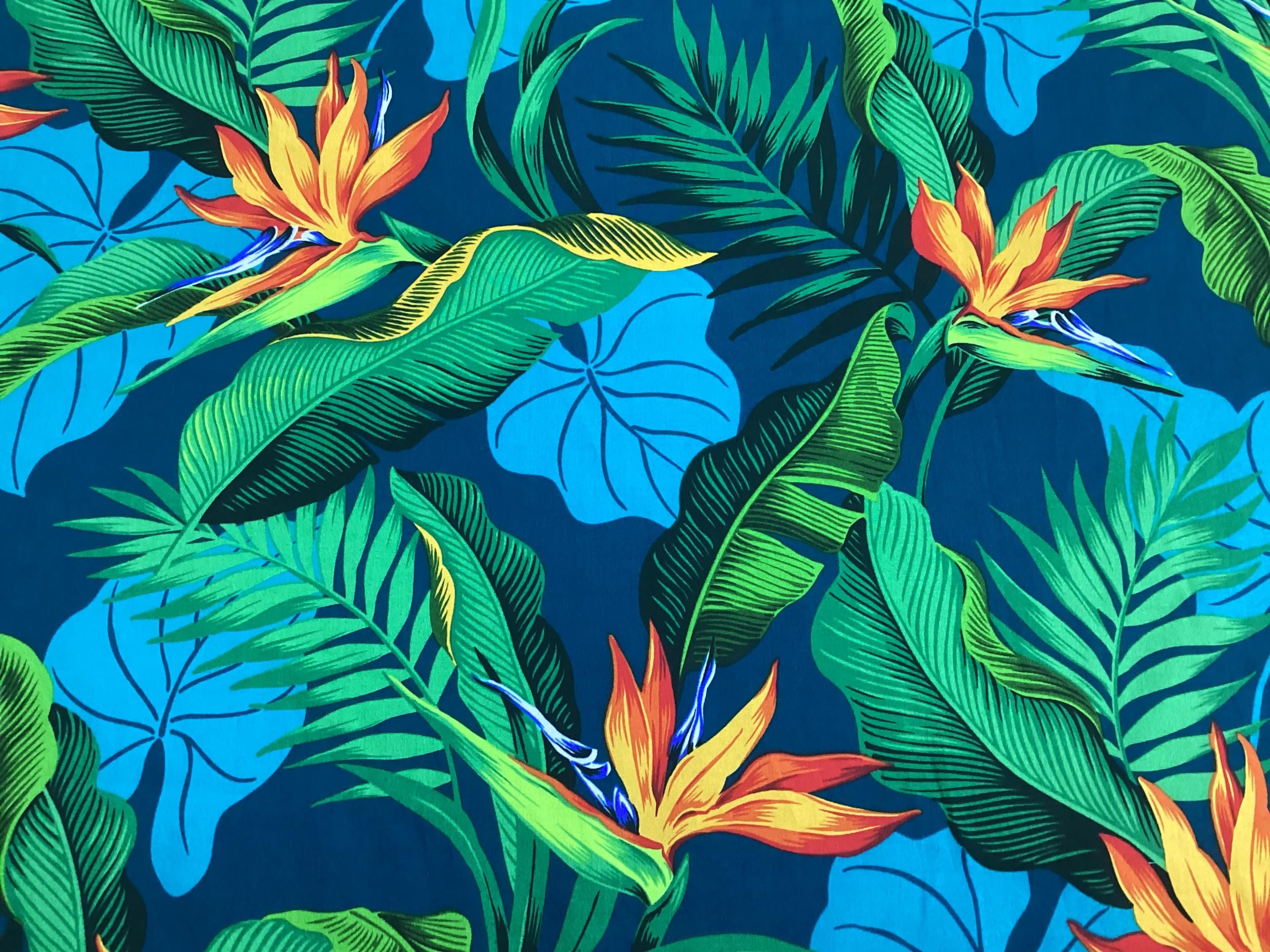 【Tachi-Hina】パトリシア・ウルキオラ tropicalia il_fullxfull.6463437511_5h7m.jpg