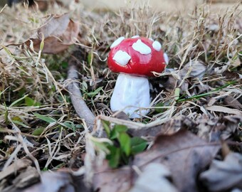 The Red Mushroom