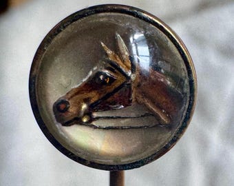 Könnte beinhalten: Eine runde Anstecknadel mit dem Profil eines braunen Pferdekopfes unter einer gewölbten, klaren Glasabdeckung. Das Pferd ist mit dunklen Zügel- und Zaumzeugdetails dargestellt. Das Stück ist in einen Metallrahmen mit vertikalem Stift gefasst.