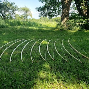 May include: A collection of ten wooden bows, each with a curved design and a taut bowstring, are arranged on a grassy lawn. The bows are light in color, contrasting with the green grass and the natural outdoor setting.