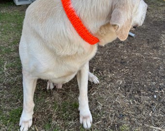 Dog collar your choice of colors