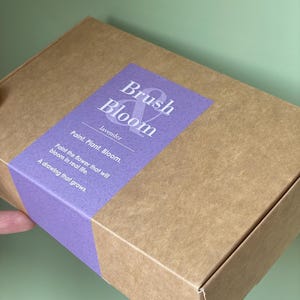 Kit artistico Brush and Bloom con lavanda, carta piantabile fai da te, regalo ecologico per dipingere e coltivare, regalo di compleanno per lei, hobby di artigianato botanico