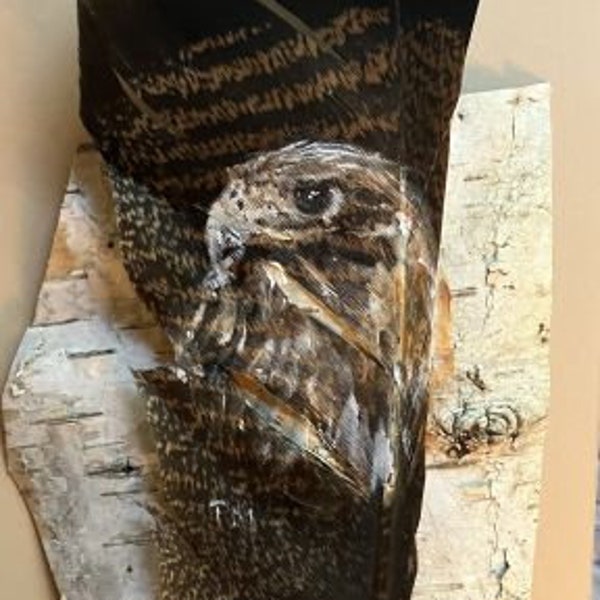 RedTail Hawk Hand Painted on Turkey Feather and Birch Bark, Framed