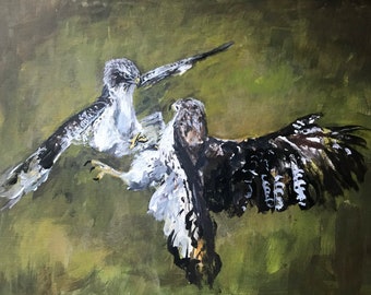 Red Tail Hawks Painting, "Scuffle", Acrylic, Framed