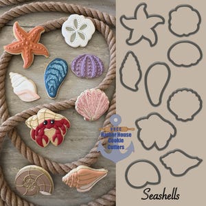 May include: Assortment of seashell-shaped cookies and cookie cutters. The cookies are decorated with various colors and designs, including a starfish, a crab, and several types of shells. The cookie cutters are in the shape of seashells. A rope is in the background.