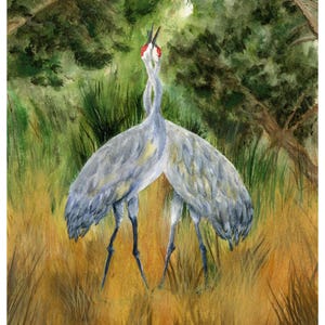 The Lovers – Romantic Sandhill Crane Watercolor Art Print, Nature-Inspired Bird Painting