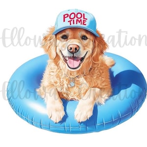 Pode incluir: Um cão golden retriever usando um chapéu azul com o texto "POOL TIME" em letras vermelhas. O cão está sentado em um flutuador de piscina inflável azul.