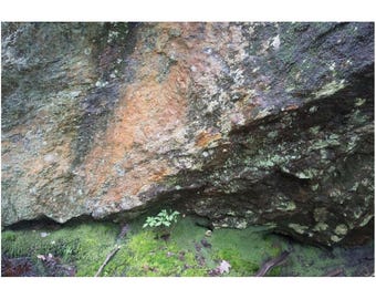 Felsen mit Moos - Fine Art Naturfotografie, Waldlandschaft aus Neuengland
