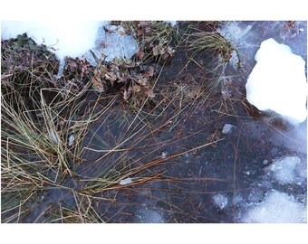 New England Naturfotografie: Klares Eis Teichrand Wandkunst