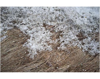 Vorfrühlings-Schnee Feld Druck: New England Fine Art Natur Fotografie