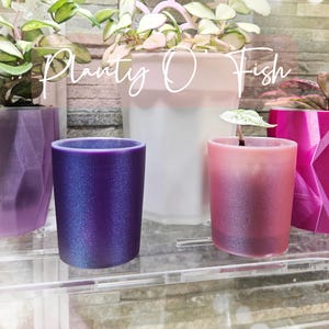 The Prop Corm 2" Selfwatering Mini Pot | Set of 4 | Colorful 3D printed corm cup