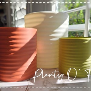 May include: Three cylindrical plant pots with a horizontal ribbed texture. The left pot is terracotta orange, the center pot is cream, and the right pot is lime green. The text "Planty O' Fish" is written in white cursive script across the front.