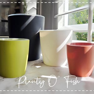 May include: A collection of four cylindrical plant pots in varying sizes and colors, including a large matte black pot, a medium white pot, a medium lime green pot, and a smaller terracotta orange pot, with the text Planty O' Fish below.
