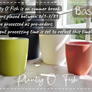 May include: Four colorful planters in lime green, black, cream, and terracotta. The word "Basic" is in a box in the upper right corner. The text "Planty O' Fish" is at the bottom of the image.