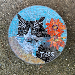 FREE SHIPPING Cat Pet Portrait stained glass mosaic garden stepping stone