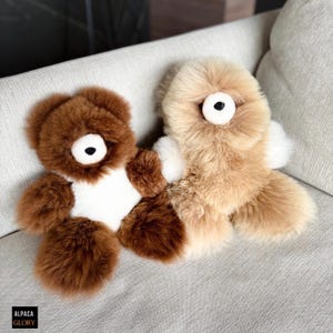 Puede incluir: Dos osos de peluche, uno marrón y otro beige, están sentados en un sofá beige claro. Ambos osos tienen la cara blanca y los ojos negros.
