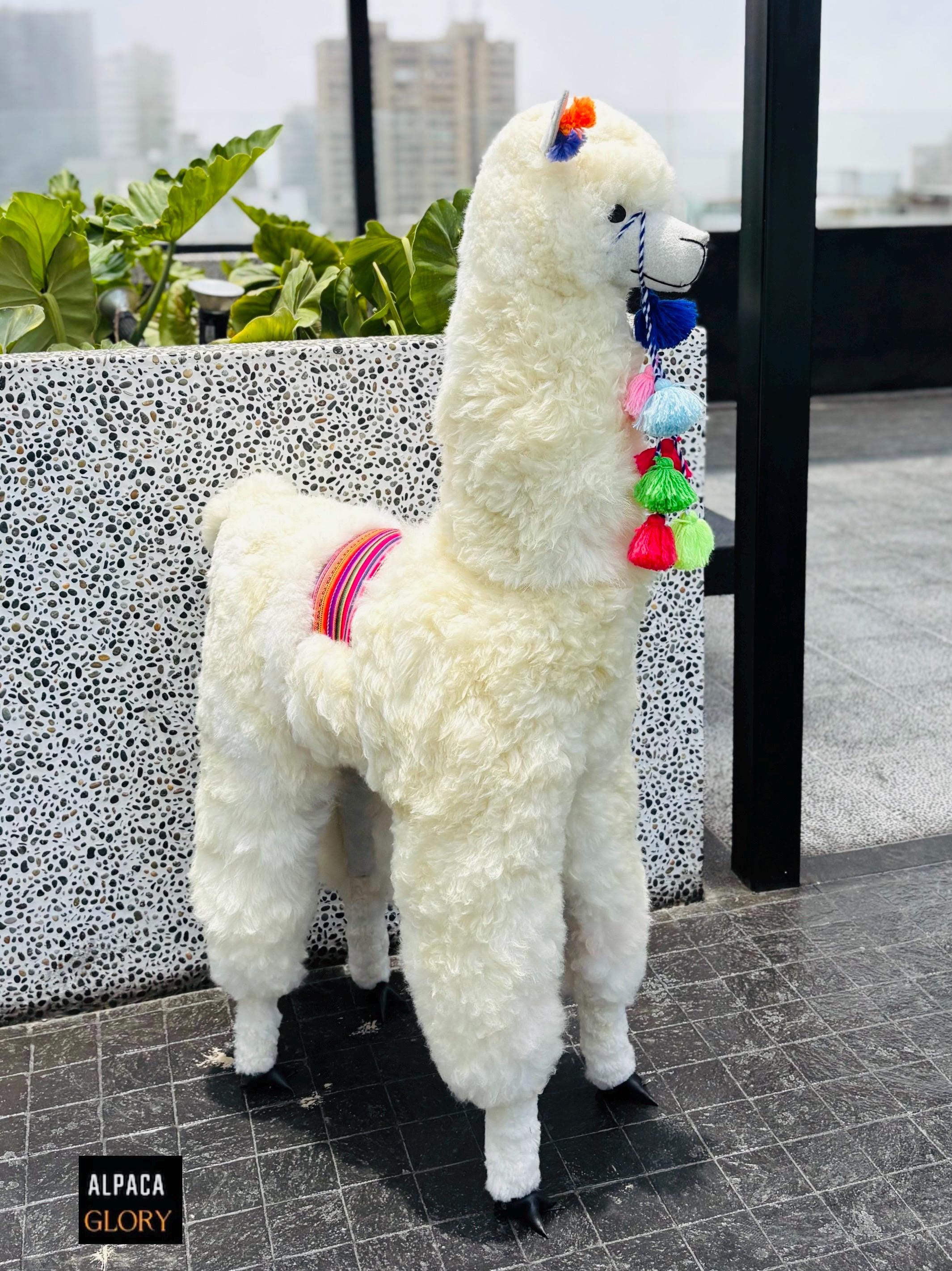 楽天市場】アルパカ ぬいぐるみ 特大 大サイズ Lサイズ人形 置物