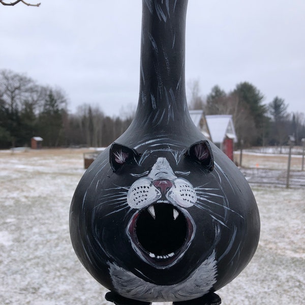 Bird House Gourd - Open Cat Mouth Opening - For Chickadees, Nuthatches, Blue Birds, Small Birds