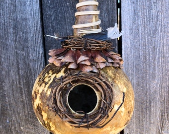 Bird House Gourd - Nature Inspired - Natural Found Decorations - For Chickadees, Nuthatches, Blue Birds, Small Birds