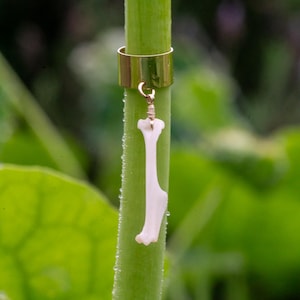 May include: A gold-colored ring with a small bone charm suspended from it. The charm is a light beige color and is attached to the ring with a thin gold wire. The ring is attached to a green stem.
