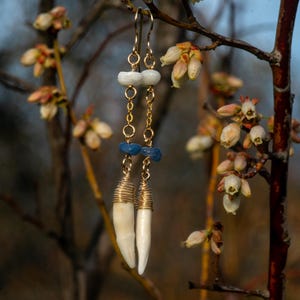 Real Raccoon Canine Teeth Gemstone Gold Goth Cottagecore Nature Bone Witchy Oddities Earrings