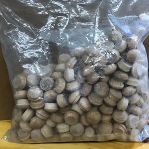 Puede incluir: Una bolsa de plástico transparente llena de numerosos tapones de madera. Los tapones son cilíndricos con una parte superior plana y una superficie ligeramente más oscura y texturizada. Probablemente para carpintería o reparación de muebles.