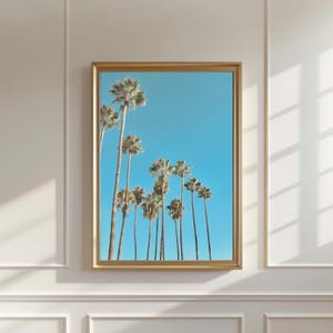 Plakat retro California Palm Springs, wydruk artystyczny Palm Trees, dekoracja łazienki Beach House, sztuka nadmorska, dekoracja ścienna Boho, dekoracja pokoju w akademiku
