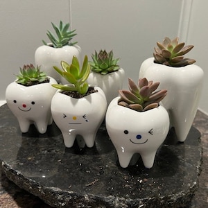 Smiling Dental Vase Tooth Vase Dental Desk Decor Tooth Planter Molar Tooth Succulent Planter Tooth Decor RDH Gift RDA Gift Dental