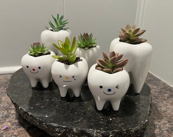 Smiling Dental Vase Tooth Vase Dental Desk Decor Tooth Planter Molar Tooth Succulent Planter Tooth Decor RDH Gift RDA Gift Dental