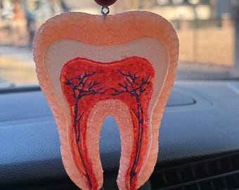 Dental Car Freshies, Tooth Freshener, Dental Hygienists, Teeth Freshener, Dental Car Fresheners, Tooth Mold, Tooth Vent