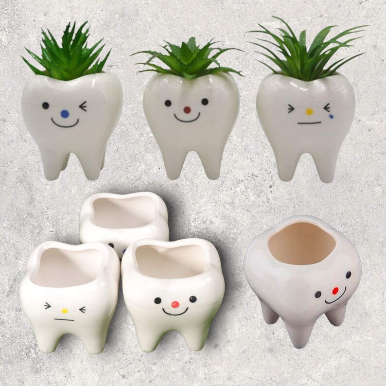 Smiling Dental Vase Tooth Vases Dental Planter Dental Vase Etsy