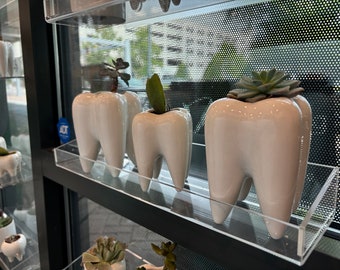 Dental Vase, Tooth Vase, Dental Planter, Tooth Planter, Dentist Gift, Dental Plant, Tooth Plant, Dental Succulent, Dental Appreciation