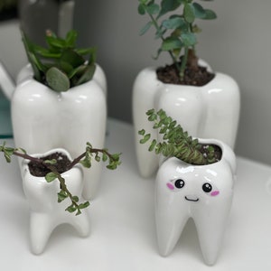 Dental Vase, Tooth Vase, Dental Planter, Tooth Planter, Dentist Gift, Dental Plant, Tooth Plant, Dental Succulent