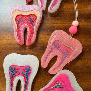 Anatomical Tooth Ornament, Resin Dental Decor, Dentist Gift