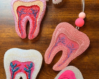 Anatomical Tooth Ornament, Resin Dental Decor, Dentist Gift