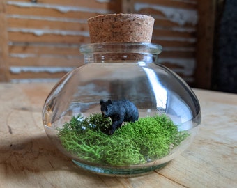 Miniature Black Bear Terrarium