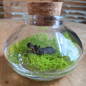 Miniatur Nilpferd Terrarium von SBMathieu