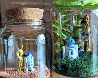 C-3PO and R2-D2 Tribute Miniature Terrariums by SBMathieu