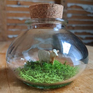 Miniature White Charolais Cow Terrarium by SBMathieu