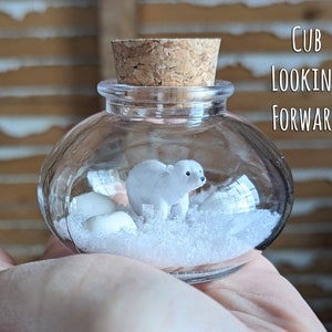 Miniature Polar Bear Terrarium by SBMathieu