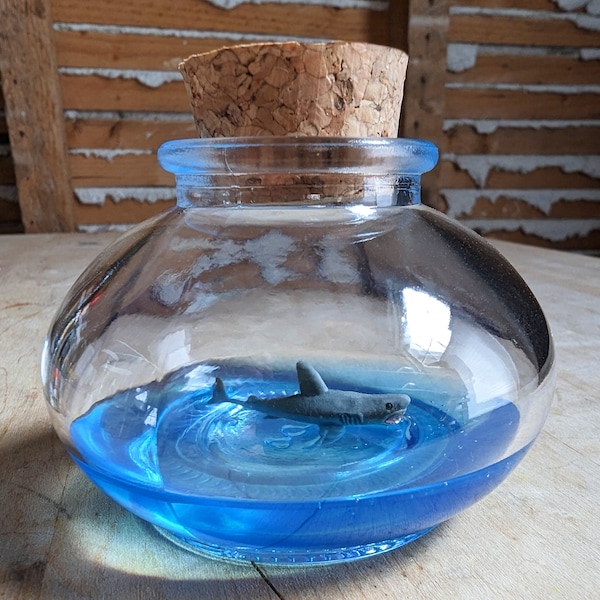 Miniature Shark Terrarium By SBMathieu